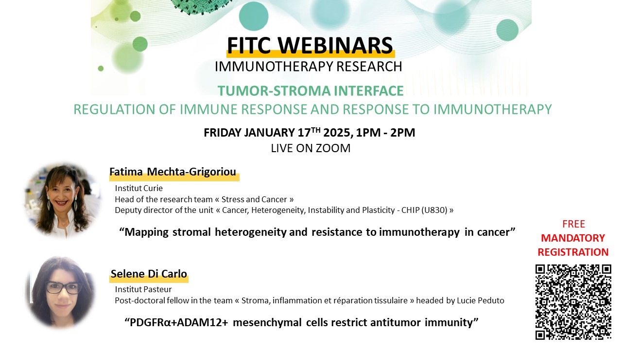 FITC WEBINARS IMMUNOTHERAPY RESEARCH   Tumor-Stroma Interface  Regulation Of immune response and response to immunotherapy